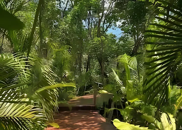 Apartment Departamento Moderno Y Elegante De 2 Tulum